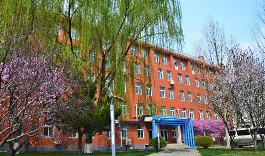 北京市新府學(xué)外國語學(xué)校2024年春季招生在線登記預(yù)約報(bào)名開啟!